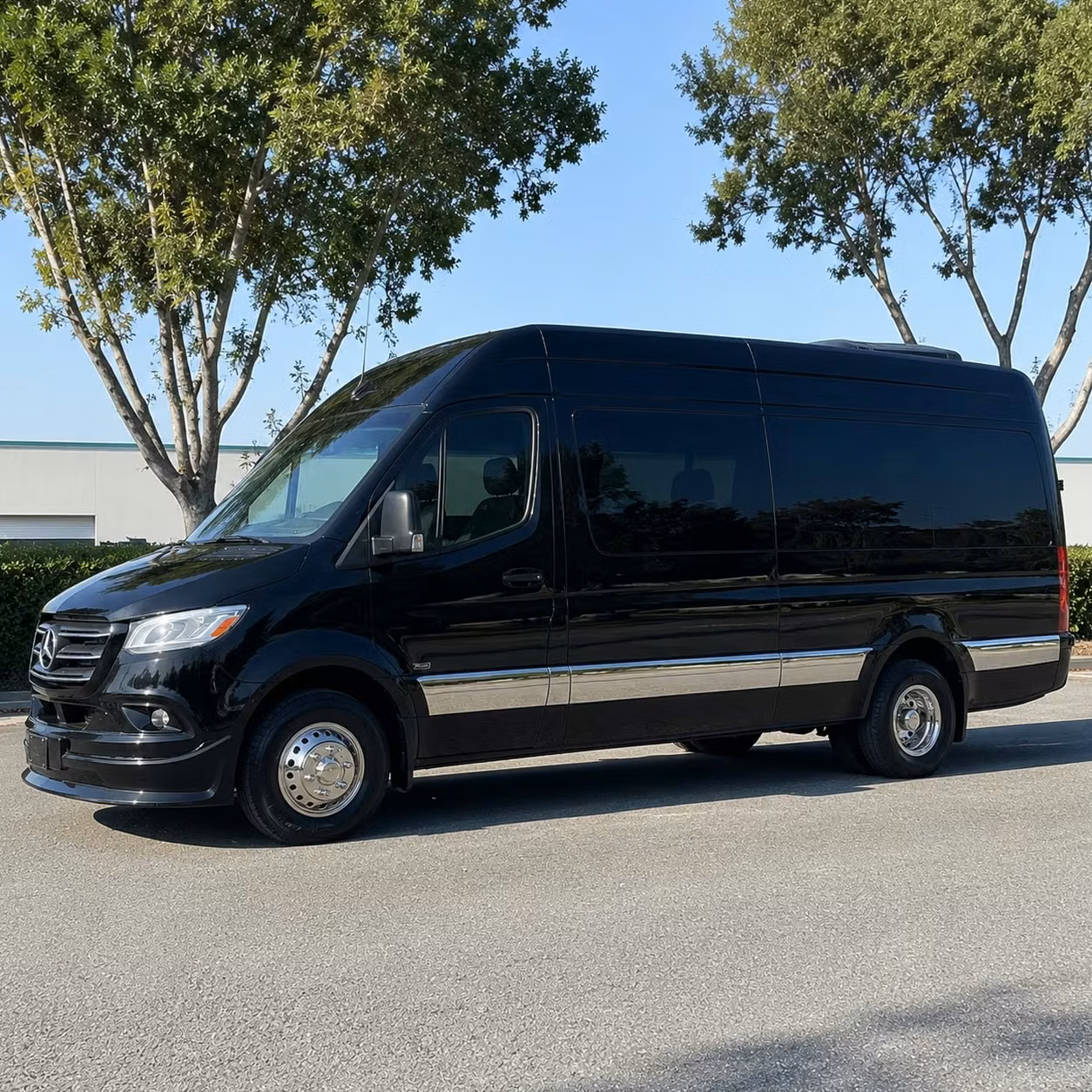 sprinter van with driver